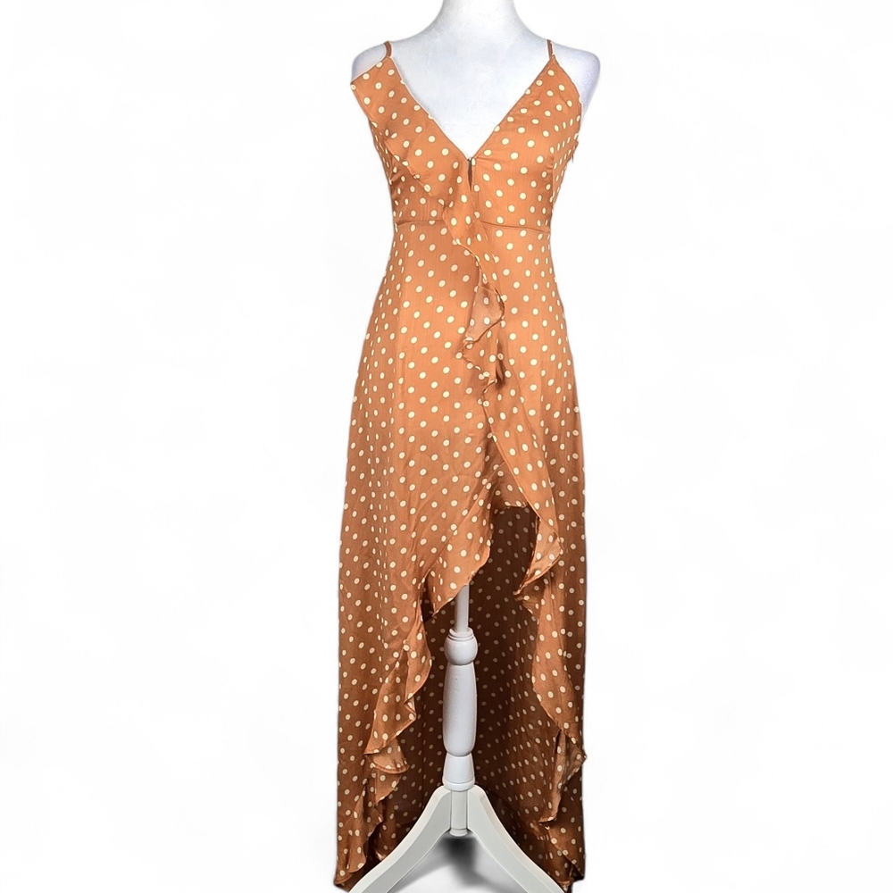 Dress Forum Polka Dot Maxi Dress Size Small